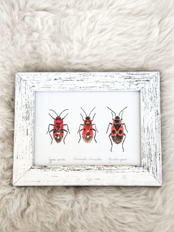 Framed original art – Firebug club