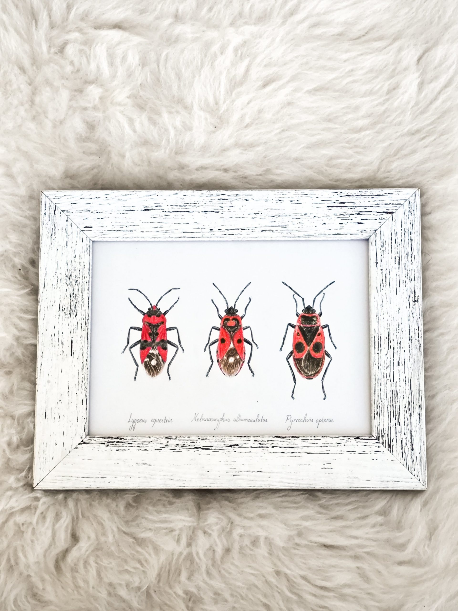 Framed original art – Firebug club