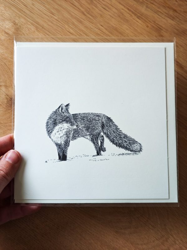 Greeting card - Red fox