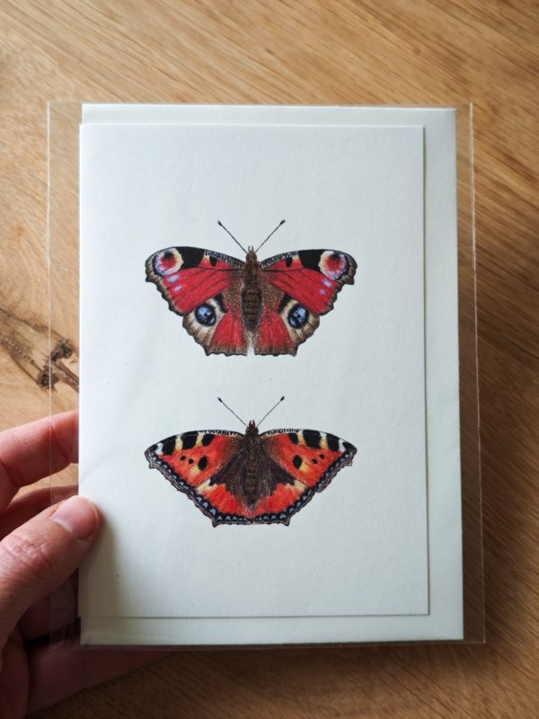 Greeting card - Peacock butterfly and Small tortoiseshell