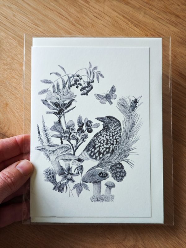 Greeting card - Typical species of larch and Swiss pine forests