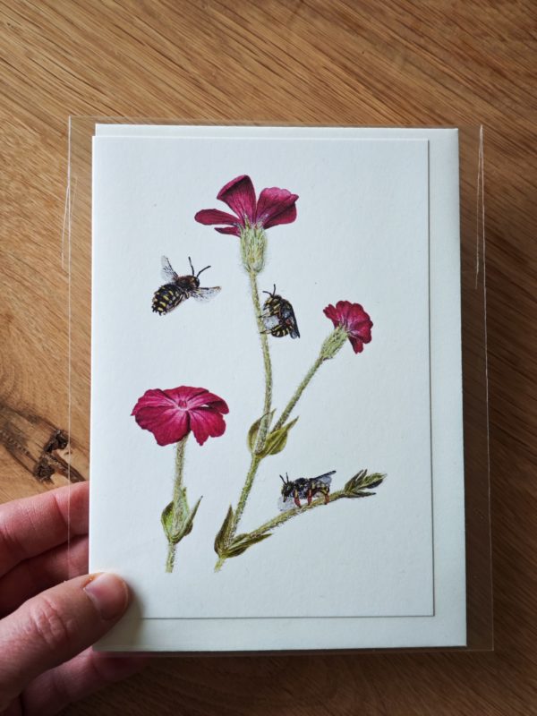 Greeting card - European wool carder bees