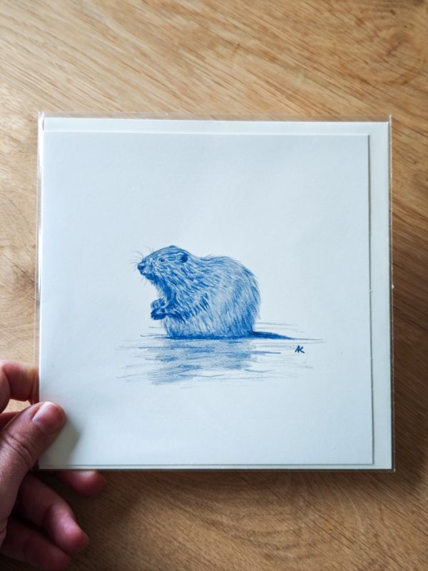 Greeting card - Beaver