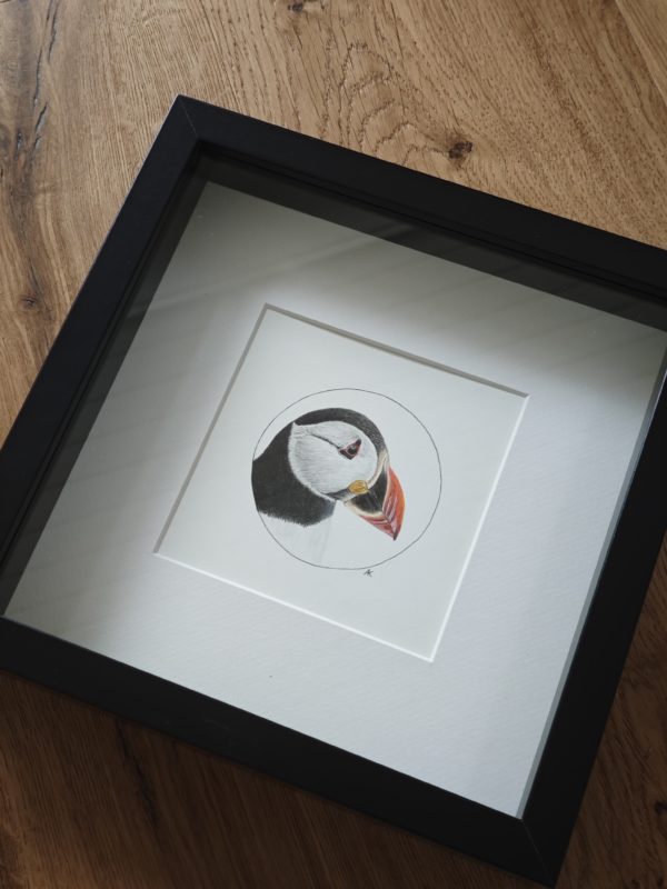 Framed original drawing – Atlantic Puffin